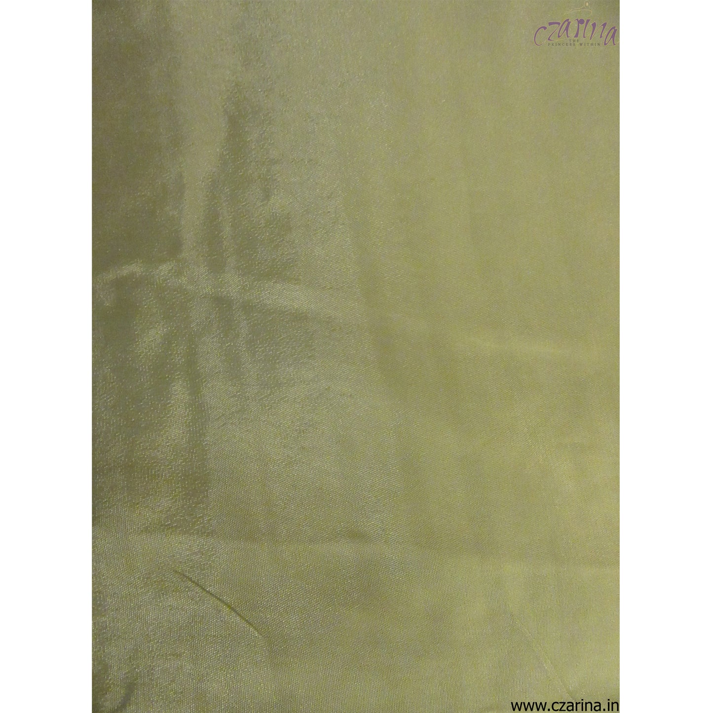 SAGE GREEN EMBROIDERED ORGANZA SAREE